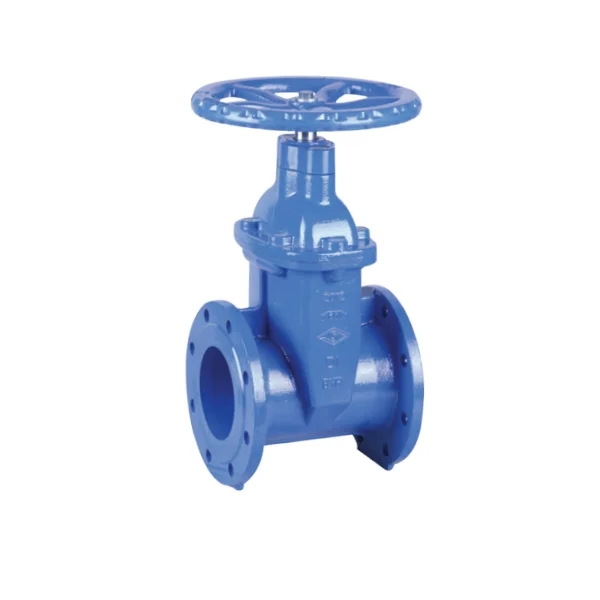 BS 5163 Flilient Flanged NRS Хаалганы хавхлага pn25
